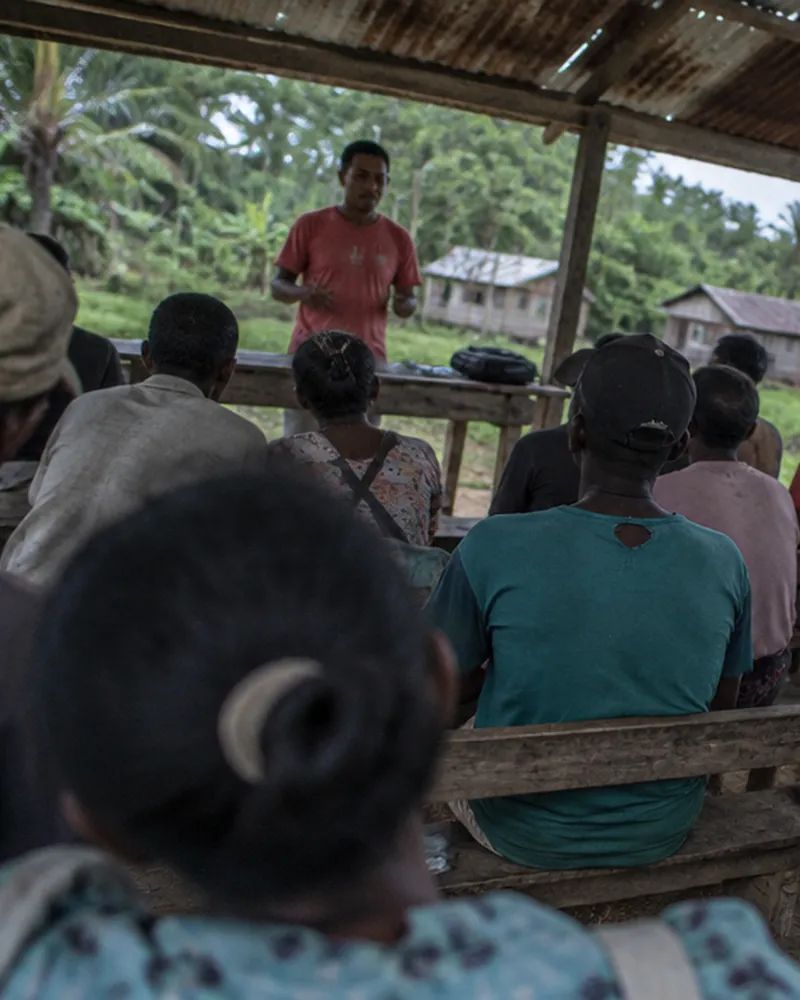 Producteurs de vanille lors d'une formation sous un hangar ouvert près de Maroantsetra Producteurs de vanille lors d'une formation sous un hangar ouvert près de Maroantsetra