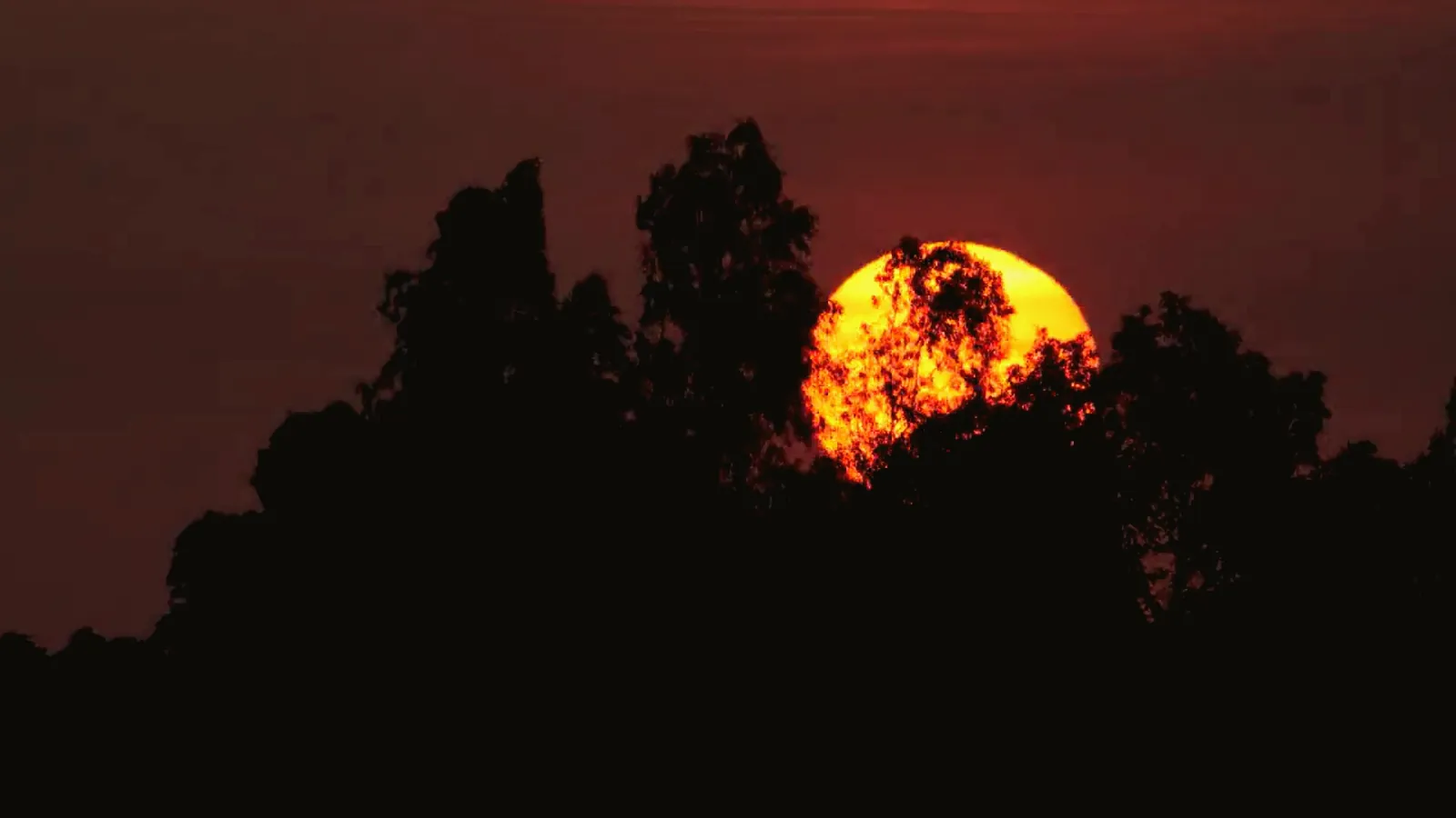 Sunset over the rainforest of northeastern Madagascar, where Vanilla Fair sources its vanilla Sunset over the rainforest of northeastern Madagascar, where Vanilla Fair sources its vanilla