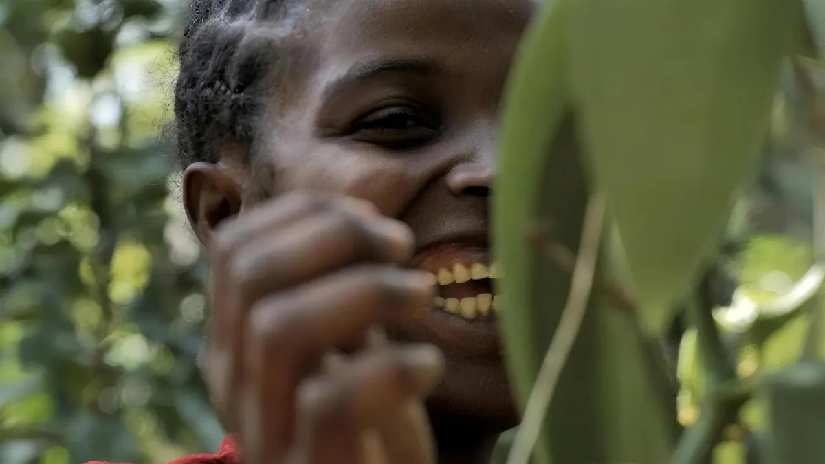 A vanilla grower laughing among the vines A vanilla grower laughing among the vines