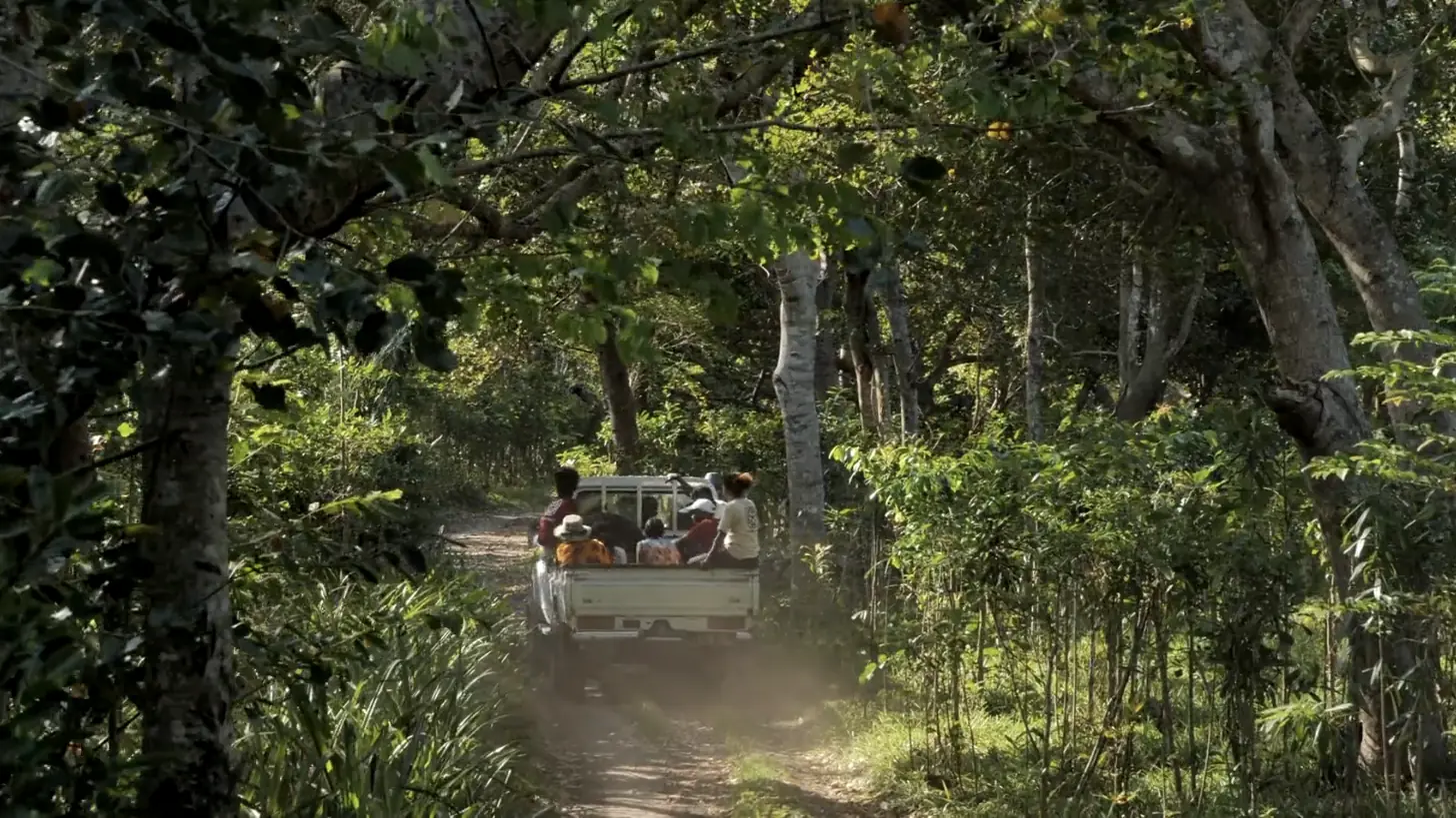 Vanilla Fair pick-up truck on a forest track in Madagascar Vanilla Fair pick-up truck on a forest track in Madagascar