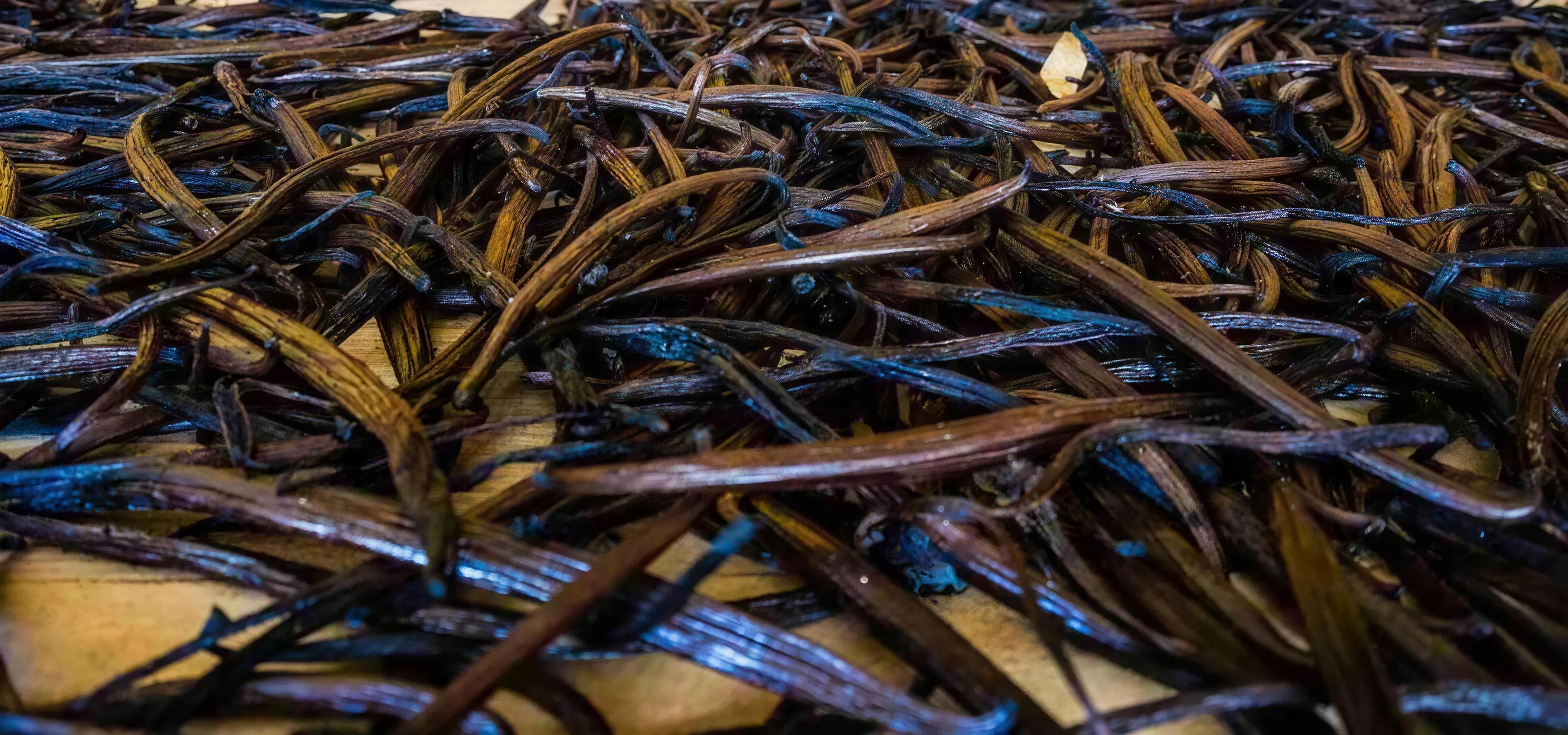 Wholesale vanilla beans grading and quality control Wholesale vanilla beans grading and quality control