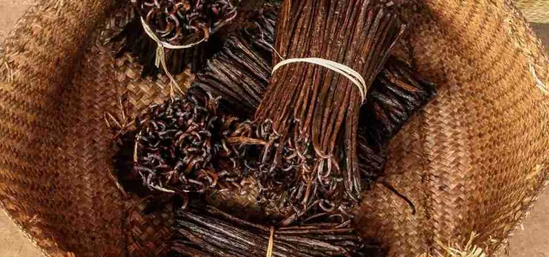 Bulk vanilla beans wholesale supplier , premium Madagascar Bourbon vanilla pods Bulk vanilla beans wholesale supplier , premium Madagascar Bourbon vanilla pods
