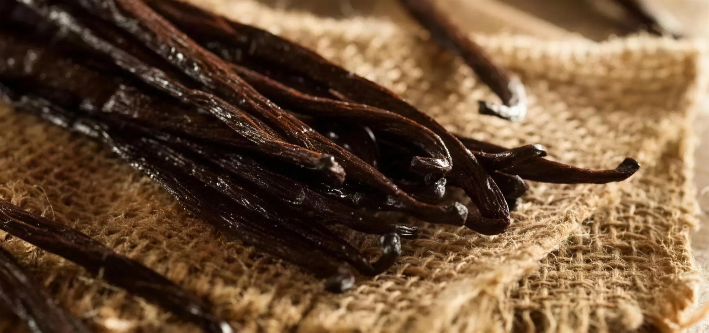 Vanilla Planifolia : le succès fulgurant du trésor parfumé de Madagascar