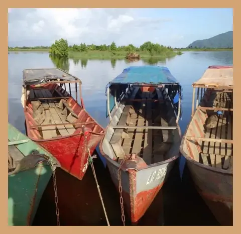 Pirogues en bois amarrées sur un lac à Madagascar Pirogues en bois amarrées sur un lac à Madagascar