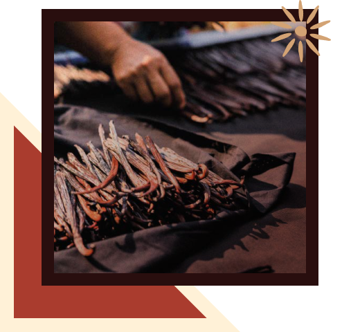 video background Image