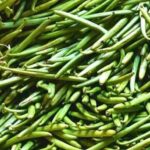 Défis et opportunités dans le commerce de la vanille de Madagascar