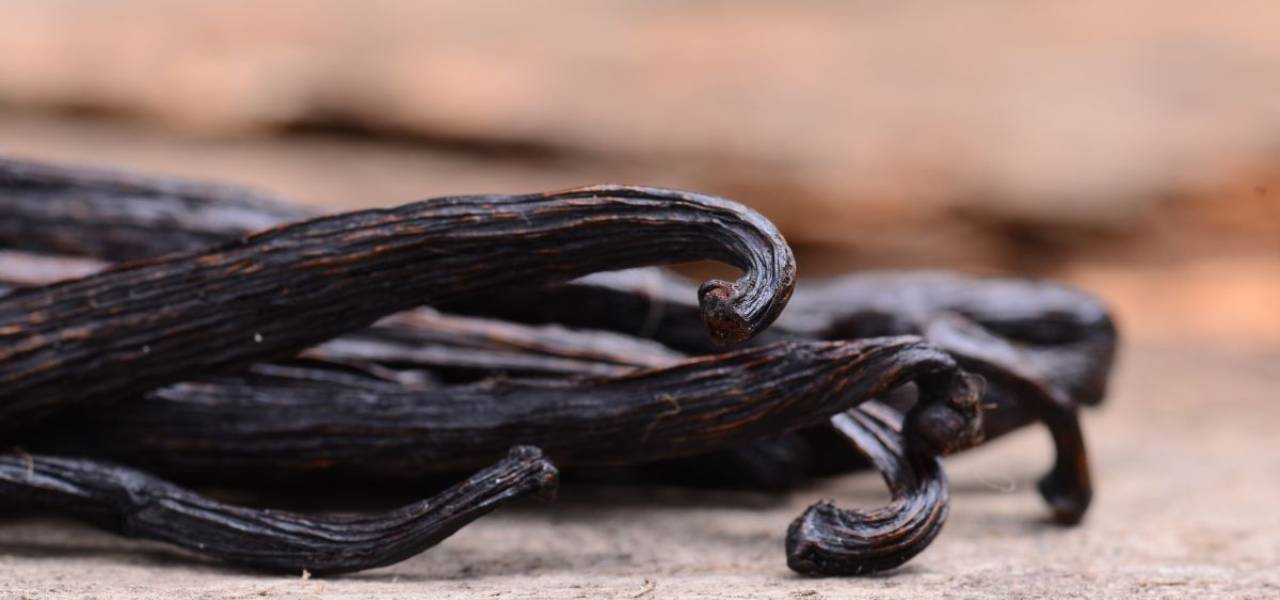 How to store and preserve vanilla to maintain aroma and quality ?