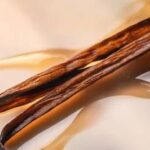 Une aventure savoureuse à Houston : Vanilla Fair rencontre le Culinary Institute Lenotre
