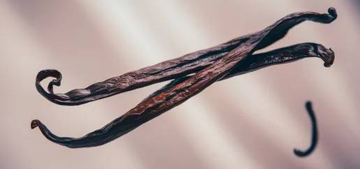 Besoin d'un devis ? Demandez-nous directement en ligne