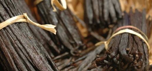 How to store and preserve vanilla to maintain aroma and quality