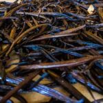 Black Vanilla for Professionals