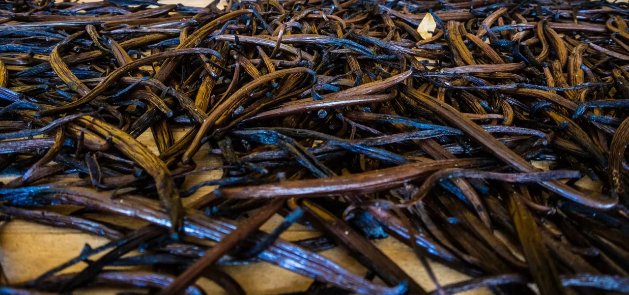Vanilla Pods