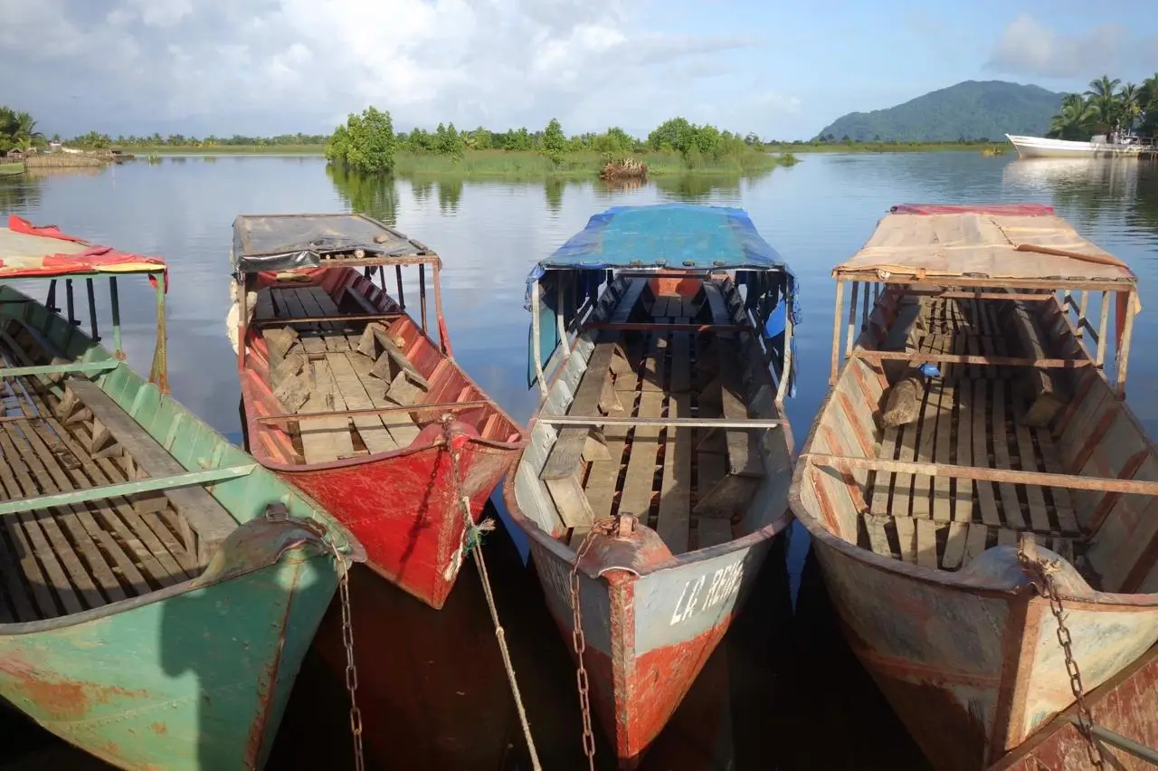 Fournisseur vanille Madagascar Vanilla Fair sur la rivi&egrave;re Maroantsetra menant aux planteurs SAVA