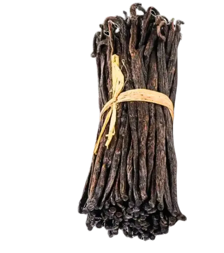 A bundle of Red US vanilla beans tied with natural raffia, ideal for both gourmet and industrial vanilla applications.
Bundle of Red US vanilla beans tied with raffia, showcasing premium quality and rich aroma.