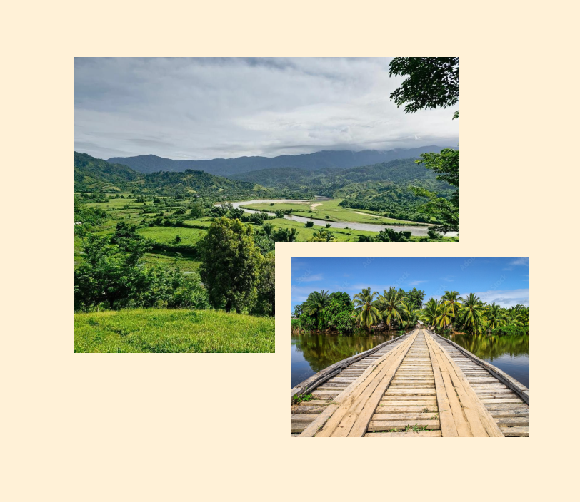 Discover the Essence